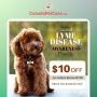 Get $10 OFF on Flea & Tick Treatment - CanadapetCare