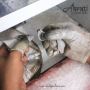 ODM Jewelry Manufacturer in India | Akrati Jewels Inc