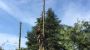 Qualified Tree Surgeons in Berkshire