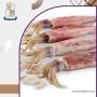 Your Trusted Halal Seafood Supplier in Singapore