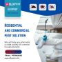 Pest Control Services