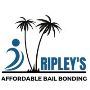 Emergency bail bonds Charlotte
