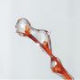 Find Top Rated Famous Macro Photographers In NYC Find Top Rated Famous Macro Photographers In NYC
