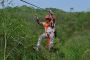 Experience Thrilling Zipline Adventures in Colombia with Adv