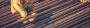 Professional Rebar Detailing Service in US