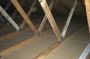 Professional Attic Clean Up Services for a Healthier Home