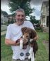 Best Obedience training in Hillsbord West End