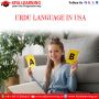 Urdu Language in Milwaukee, Wisconsin