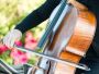 Live Wedding Band in Palm Springs Live Wedding Band in Palm Springs