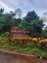 Subdivided Lots for Sale in Ligao Prestige Subdivision!