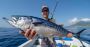 Goldcoast fishing