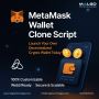 Launch Your Own Secure Digital Wallet Platform Today!