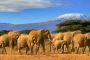 Affordable 3 Days Masai Mara Midrange Safari with Jumbo Adve