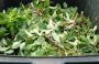 Yard Waste Removal Services in San Diego by JunkMates