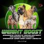 Omega 3 for Dogs – Health Benefits for Coat, Joints & Muscle