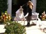 Graceful Dove Release Services | Kaila's Love Doves LLC