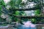 Book Shillong Cherrapunji Tour & Get Upto 30% Off