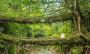 Explore Cherrapunji Dawki Shillong with Kiomoi Explore Cherrapunji Dawki Shillong with Kiomoi