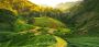 Explore Things to do in Assam at Kiomoi