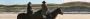 Ride Through Harsh Weather With a Winter Horse Riding Jacket