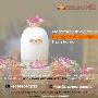 Powerful Online Navagraha Homam Pooja from India by Expert