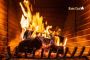 Kiln Dried Firewood Logs Suppliers in Lanark