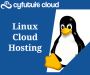 Linux cloud Hosting