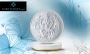 Buy 20 Grams Silver Coins Online - Karatcraft