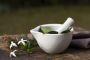 Ayurvedic Medicines for Reducing High Creatinine Levels Natu