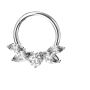 Silver Nose Hoops