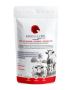 Potting Mix for Indoor Plants