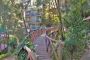Luxury Cottages in Kasuali - Kasauli Hills Resort