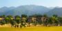 Co-ed Boarding School in Dehradun- Kasiga School