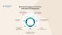 Why Custom Software Development Is the Competitive Advantage