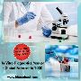 Global In-Vitro Diagnostics Market, Forecast 2030
