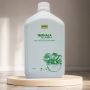 Best Ayurvedic Products for Holistic Health and Wellness