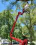 How to Find Reliable Tree Cutting Services in Syracuse, NY