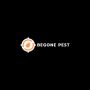 Your Solution for Effective Flea Control in Bromley