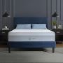 How Alisha Arnold Helps You to Pick the Best Bed for Your Ai