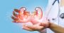 Get your kidney health to its prime