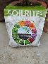 Buy Potting Soil Online for Indoor Plants