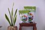 Best Soil Mixture for Plants | Keltech Energies