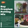 Find the Right Potting Soil Mix for Your Plants