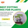 Get Soil for Plants Online – Perfect for Indoor and Outdoor 