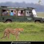 Explore Tanzania and Zanzibar Holidays