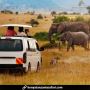 Unforgettable Combined Kenya and Tanzania Safari Adventure