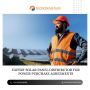 Expert Solar Panel Distributor for Power Purchase Agreements