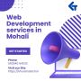 Seo company in Mohali	