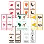 Montessori Geography Materials: Hands-On Learning Tools