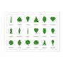 Montessori Botany Materials for Hands-On Botanical Learning